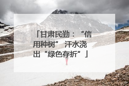 甘肃民勤：“信用种树” 汗水浇出“绿色存折”